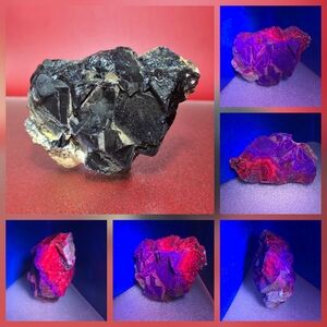 1 LB Amazing Uv Natural Pakistan Black Rose Fluorite Raw Specimen Reiki Healing